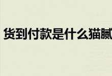 货到付款是什么猫腻（货到付款是什么流程）