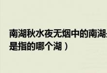 南湖秋水夜无烟中的南湖是指现在的哪里（南湖秋水夜无烟是指的哪个湖）