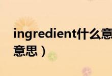 ingredient什么意思（英语ingredient什么意思）