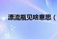 漂流瓶见啥意思（漂流瓶见了什么意思）