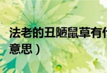 法老的丑陋鼠草有什么梗（法老的丑陋鼠草啥意思）