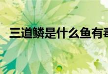 三道鳞是什么鱼有毒吗（三道鳞有没有毒）