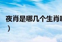 夜肖是哪几个生肖啊（日肖和夜肖是哪几个肖）