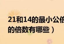21和14的最小公倍数是多少?（21和14的公的倍数有哪些）