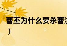 曹丕为什么要杀曹洪（曹丕为什么要杀死曹冲）