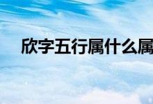 欣字五行属什么属性（欣字五行属什么）