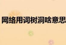 网络用词树洞啥意思（网络用词sd什么意思）