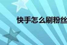快手怎么刷粉丝（如何让快手涨粉）
