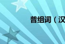 普组词（汉字普怎么组词）