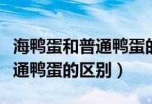 海鸭蛋和普通鸭蛋的区别是什么（海鸭蛋和普通鸭蛋的区别）