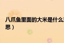 八爪鱼里面的大米是什么东西（八爪鱼里面的大米是什么意思）