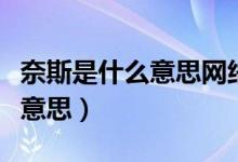 奈斯是什么意思网络用语（流行语奈斯是什么意思）