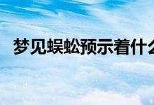 梦见蜈蚣预示着什么（不同梦境解释不同）