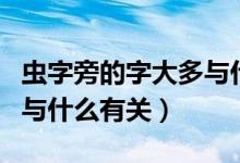 虫字旁的字大多与什么相关（虫字旁的字大多与什么有关）