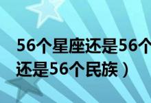 56个星座还是56个民族什么效应（56个星座还是56个民族）