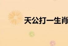 天公打一生肖（天公打一成语）