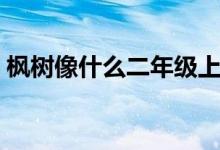 枫树像什么二年级上册（枫树像什么比喻句）