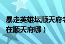 暴走英雄坛顺天府老乞丐（暴走英雄坛老乞丐在顺天府哪）