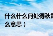 什么什么何处得秋霜（何处得秋霜的秋霜是什么意思）