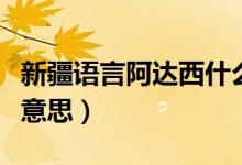 新疆语言阿达西什么意思（新疆话阿达西什么意思）