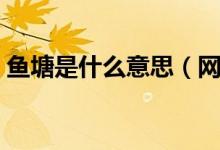 鱼塘是什么意思（网上流行鱼塘是什么意思）