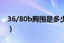 36/80b胸围是多少（胸围36/80是多大尺码）