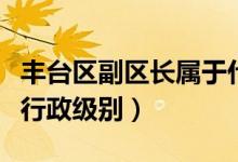丰台区副区长属于什么级别（丰台区区长什么行政级别）