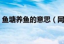 鱼塘养鱼的意思（网络鱼塘养鱼是什么意思）
