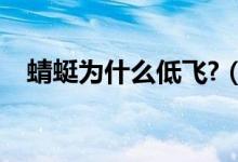蜻蜓为什么低飞?（蜻蜓阴天为什么低飞）