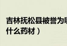 吉林抚松县被誉为哪种药材之乡（抚松县盛产什么药材）