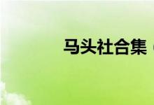 马头社合集（马头社是什么）