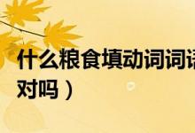 什么粮食填动词词语（什么粮食填动词吃粮食对吗）