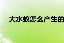 大水蚁怎么产生的（大水蚁怎么产生的）