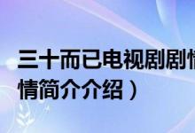 三十而已电视剧剧情介绍（三十而已电视剧剧情简介介绍）