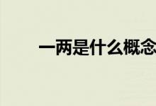 一两是什么概念（一两是什么概念）