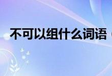 不可以组什么词语（不可以组什么词词语）
