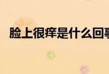 脸上很痒是什么回事（脸上很痒是螨虫吗）