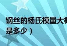 钢丝的杨氏模量大概是（钢丝的杨氏模量大概是多少）