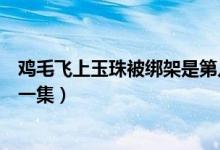 鸡毛飞上玉珠被绑架是第几集（鸡毛飞上天玉珠腿被打是哪一集）