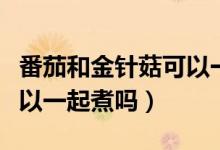 番茄和金针菇可以一起吃吗（番茄和金针菇可以一起煮吗）