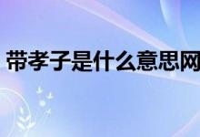 带孝子是什么意思网络用语（带孝子啥意思）