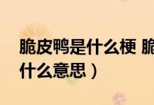 脆皮鸭是什么梗 脆皮鸭文学（脆皮鸭文学是什么意思）