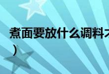 煮面要放什么调料才好吃（煮面要放什么调料）