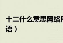 十二什么意思网络用语（十二什么意思网络用语）