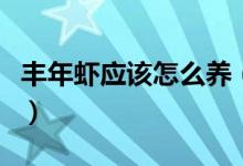 丰年虾应该怎么养（丰年虾养殖都有哪些要求）