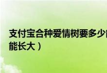 支付宝合种爱情树要多少能量（支付宝合种爱情树多少能量能长大）