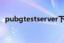 pubgtestserver下载（pubgtest是什么）