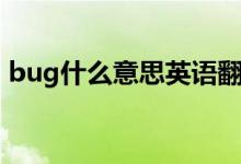 bug什么意思英语翻译（bug什么意思读音）