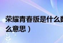 荣耀青春版是什么数据接口（荣耀青春版是什么意思）