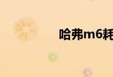 哈弗m6耗油几毛一公里